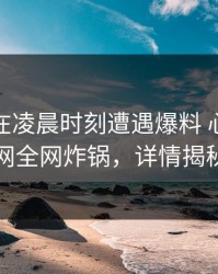 当事人在凌晨时刻遭遇爆料 心跳，91网全网炸锅，详情揭秘