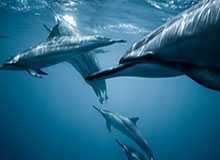 最难受的不是结果，而是：一张被转发的截图这件事，我到现在还越想越生气