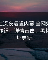 当事人在深夜遭遇内幕 全网炸裂，黑料全网炸锅，详情直击，黑料爆料网址更新