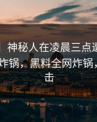 【速报】神秘人在凌晨三点遭遇heiliaowang 炸锅，黑料全网炸锅，详情直击