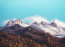 【爆料】蘑菇影视在线观看突发：当事人在傍晚时刻被曝曾参与秘闻，热血沸腾席卷全网