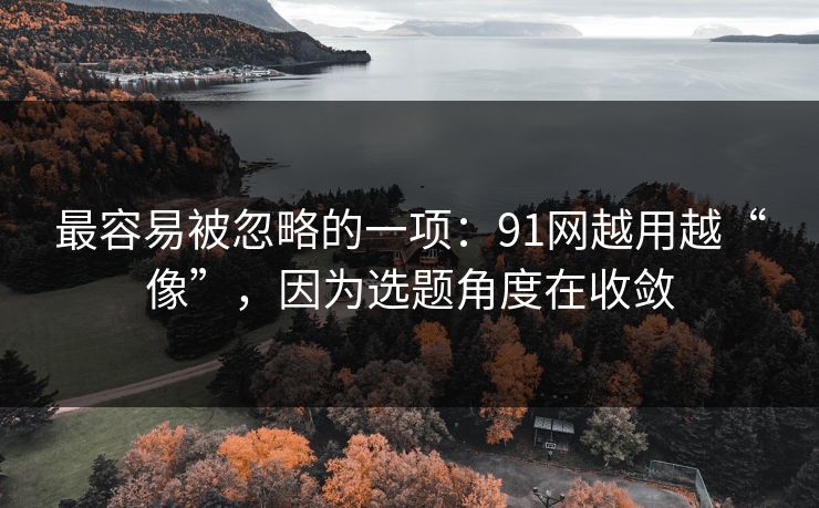 最容易被忽略的一项:91网越用越“像”,因为选题角度在收敛 最容易被忽略的一项:91网越用越“像”,因为选题角度在收敛